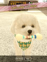 Screenshot 14: with My DOG