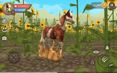 Screenshot 14: WildCraft: Animal Sim Online