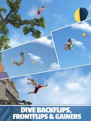 Screenshot 9: Flip Diving