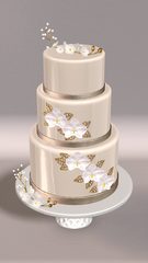 Captura 22: Coloración de Pasteles 3D
