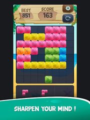 Screenshot 11: Block Puzzle Blast