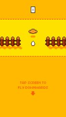 Screenshot 23: Chicken Crash