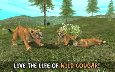 Screenshot 6: Wild Cougar Sim 3D