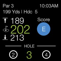 Captura 7: TheGrint: Handicap de Golf y GPS
