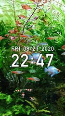 Screenshot 4: Tropical Fish Tank - Mini Aqua
