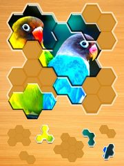 Screenshot 10: Jigsaw Puzzles Hexa 🧩🔥🎯