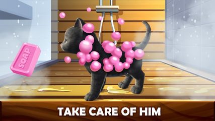 Screenshot 10: Daily Kitten : virtual cat pet