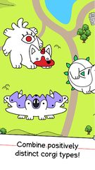 Screenshot 15: Corgi Evolution: Shiba Dogs