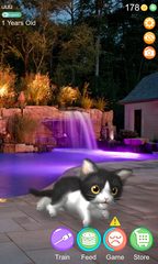 Screenshot 15: AR Cat