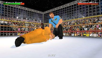 Captura 7: Universo de la Lucha Libre