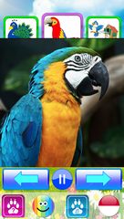 Screenshot 16: Animal sounds. Learn animals names for kids