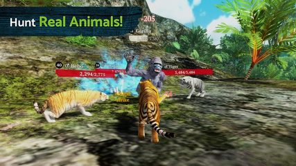 Screenshot 14: The Tiger
