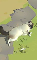 Captura 15: Paraíso Felino