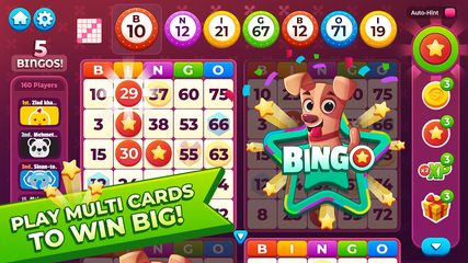 Captura 1: Únete a la gran fiesta de bingo