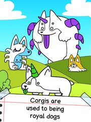 Screenshot 5: Corgi Evolution: Shiba Dogs