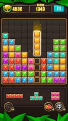 Screenshot 14: Block Puzzle