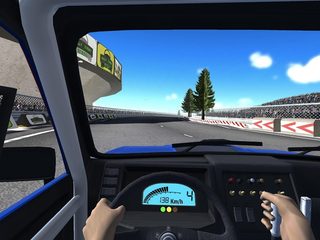 Captura 14: Rally de Tierra