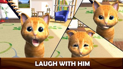 Screenshot 5: Daily Kitten : virtual cat pet