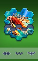 Screenshot 7: Hexa Jigsaw Puzzle ®