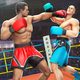 Игры по кикбоксингу: Боевая игра