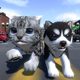 Aventura de cuidado de mascotas virtuales