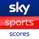 Счеты Sky Sports