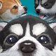 Cuidado de cachorro virtual 3D